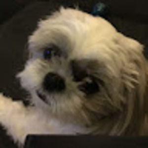 Meet your Posher, August